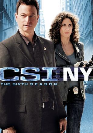 CSI纽约篇第六季海报