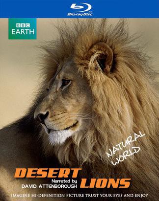 自然世界：沙漠狮海报