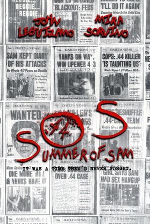 山姆的夏天海报