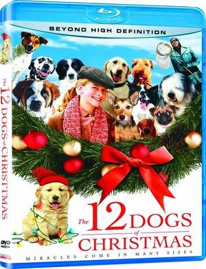 12条圣诞狗狗海报