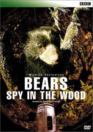 熊：树林中的窥探海报