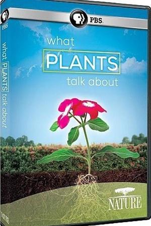 PBS自然：植物间的对话