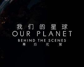 我们的星球：镜头背后海报