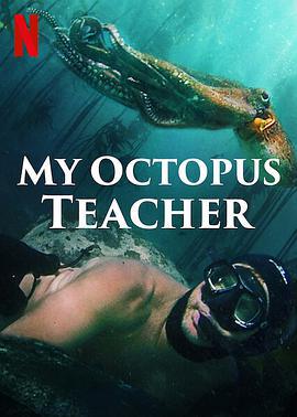 我的章鱼老师海报